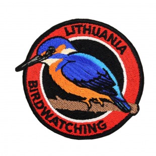 Antsiuvas Tulžys