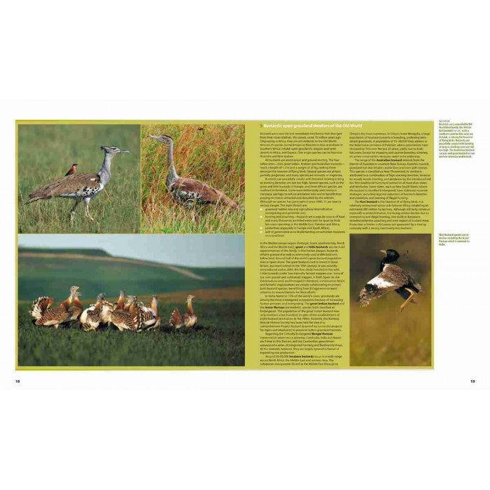 Knyga "Farmland birds across the world"