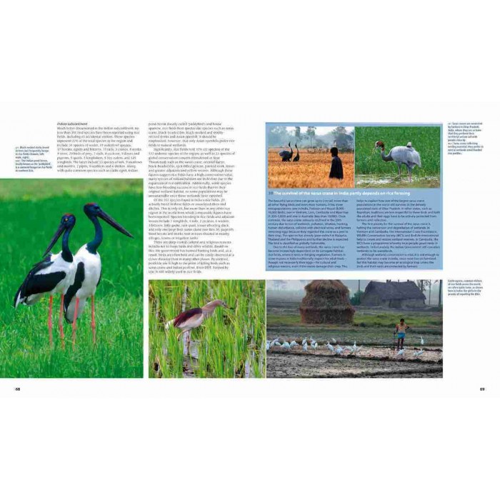 Knyga "Farmland birds across the world"