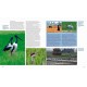 Knyga "Farmland birds across the world"