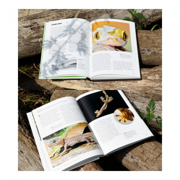 Knyga LIZARDS OF THE WORLD: A Guide to Every Family