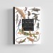 Knyga LIZARDS OF THE WORLD: A Guide to Every Family