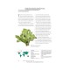 Knyga MOSSES, Liverworts, and Hornworts OF THE WORLD