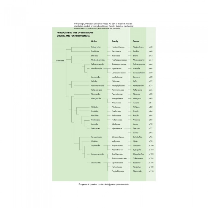 Knyga MOSSES, Liverworts, and Hornworts OF THE WORLD