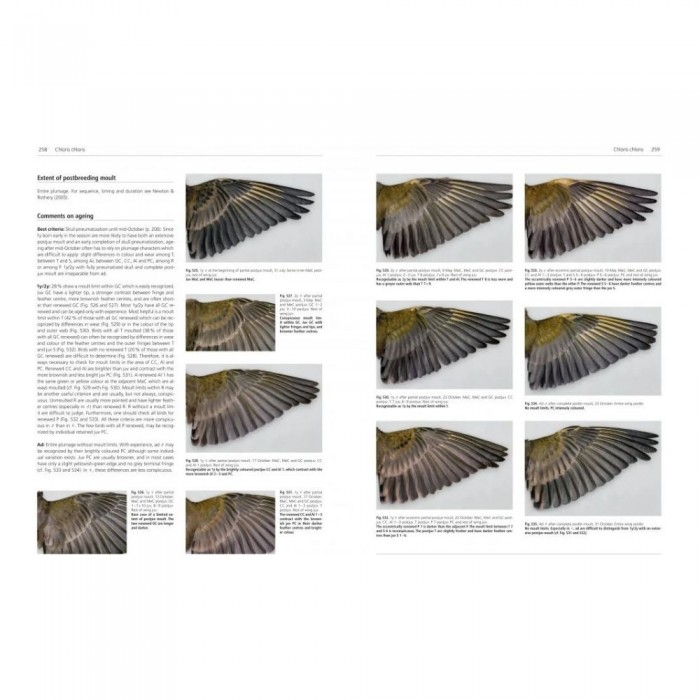 Knyga "Moult and Ageing of European Passerines: Second Edition"