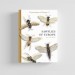 Knyga "Sawflies of Europe - Hymenoptera of Europe 2"