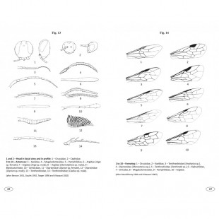 Knyga "Sawflies of Europe - Hymenoptera of Europe 2"