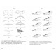 Knyga "Sawflies of Europe - Hymenoptera of Europe 2"