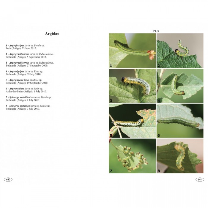 Knyga "Sawflies of Europe - Hymenoptera of Europe 2"