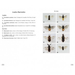 Knyga "Sawflies of Europe - Hymenoptera of Europe 2"