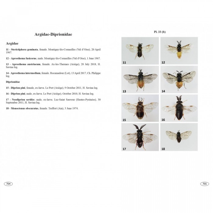 Knyga "Sawflies of Europe - Hymenoptera of Europe 2"