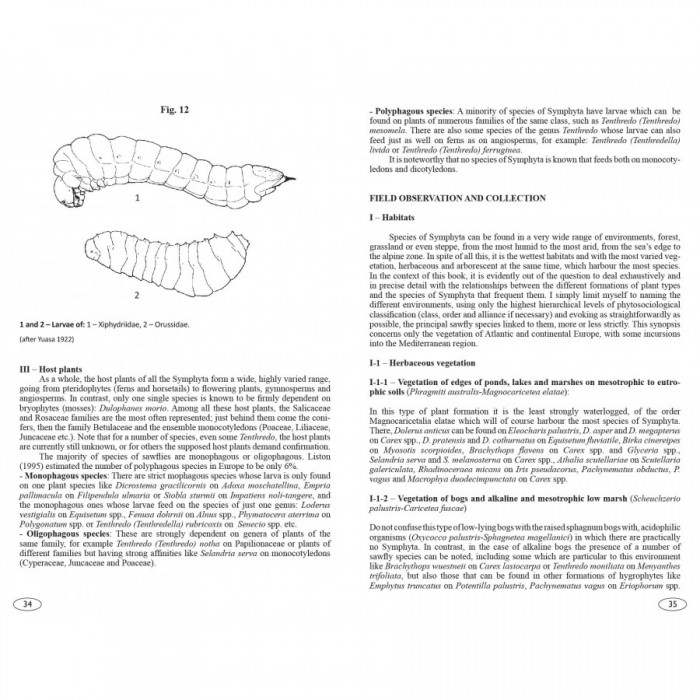 Knyga "Sawflies of Europe - Hymenoptera of Europe 2"