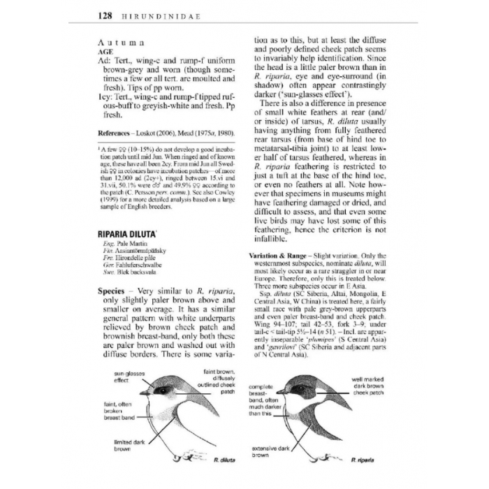 Knyga  "Identification Guide to European Passerines"