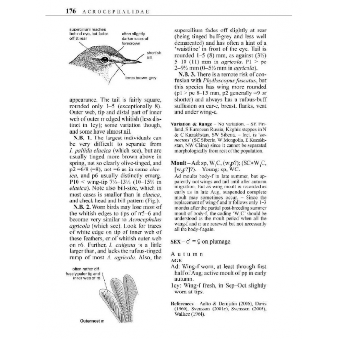 Knyga  "Identification Guide to European Passerines"