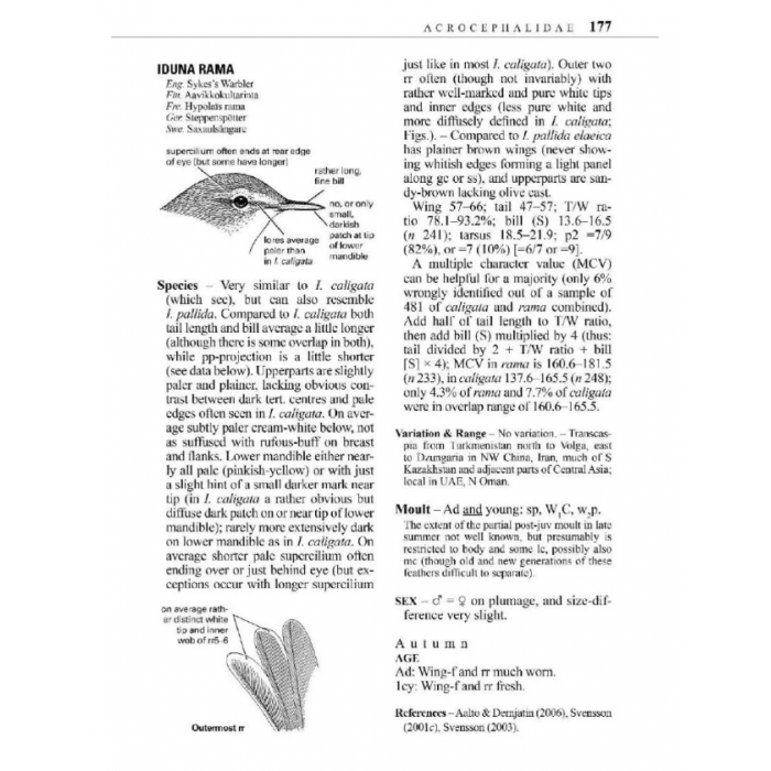 Knyga  "Identification Guide to European Passerines"