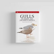 Knyga  "Gulls of Europe, Asia and North America"