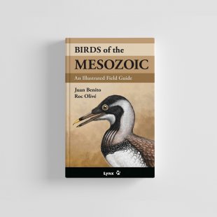 Knyga  "Birds of the Mesozoic" An Illustrated Field Guide