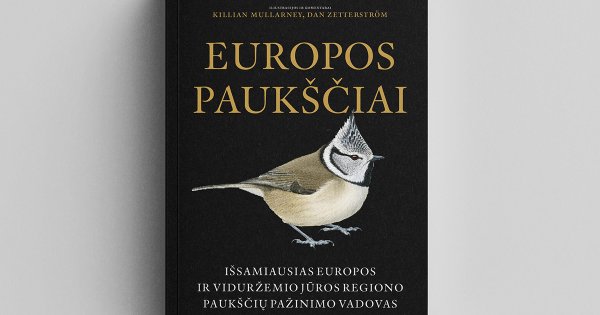 Collins Bird Guide | Lars Svensson, Dan Zetterström, Killian Mullarney ...