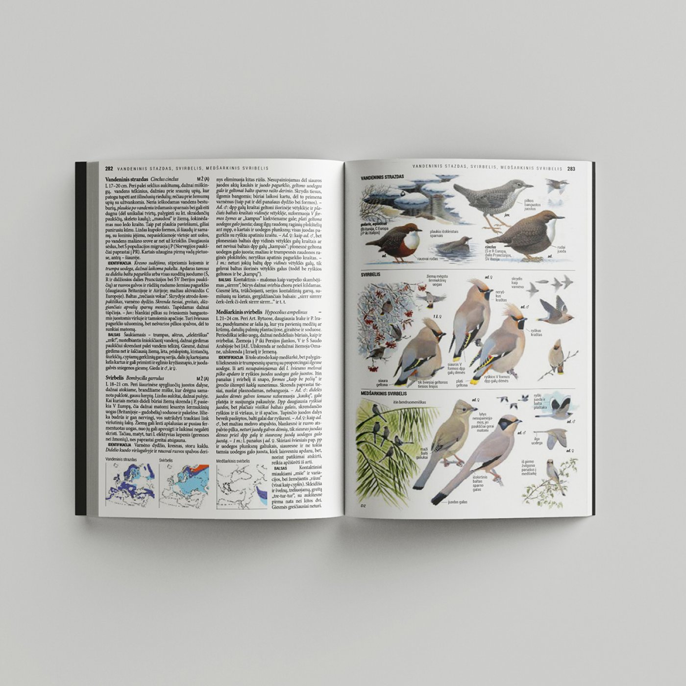 Collins Bird Guide | Lars Svensson, Dan Zetterström, Killian Mullarney ...
