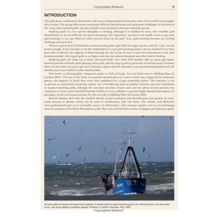 Knyga  "Gulls of the World: A Photographic Guide"