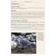Knyga  "Gulls of the World: A Photographic Guide"