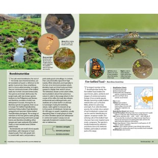 Knyga  "Amphibians of Europe, North Africa and the Middle East: A Photographic Guide"