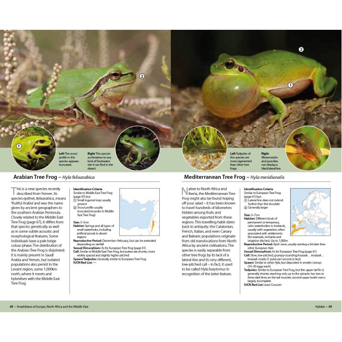 Knyga  "Amphibians of Europe, North Africa and the Middle East: A Photographic Guide"