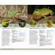 Knyga  "Amphibians of Europe, North Africa and the Middle East: A Photographic Guide"
