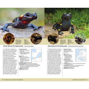 Knyga  "Amphibians of Europe, North Africa and the Middle East: A Photographic Guide"