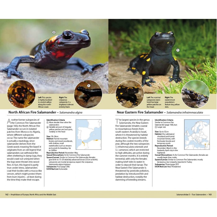 Knyga  "Amphibians of Europe, North Africa and the Middle East: A Photographic Guide"