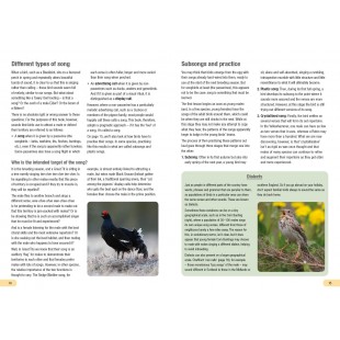 Knyga  "RSPB Guide to Birdsong"