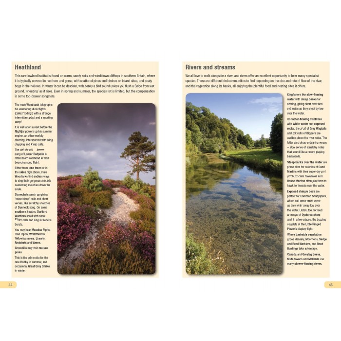 Knyga  "RSPB Guide to Birdsong"