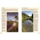 Knyga  "RSPB Guide to Birdsong"