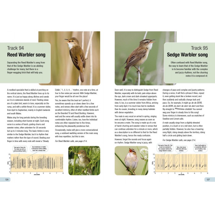Knyga  "RSPB Guide to Birdsong"