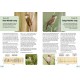 Knyga  "RSPB Guide to Birdsong"