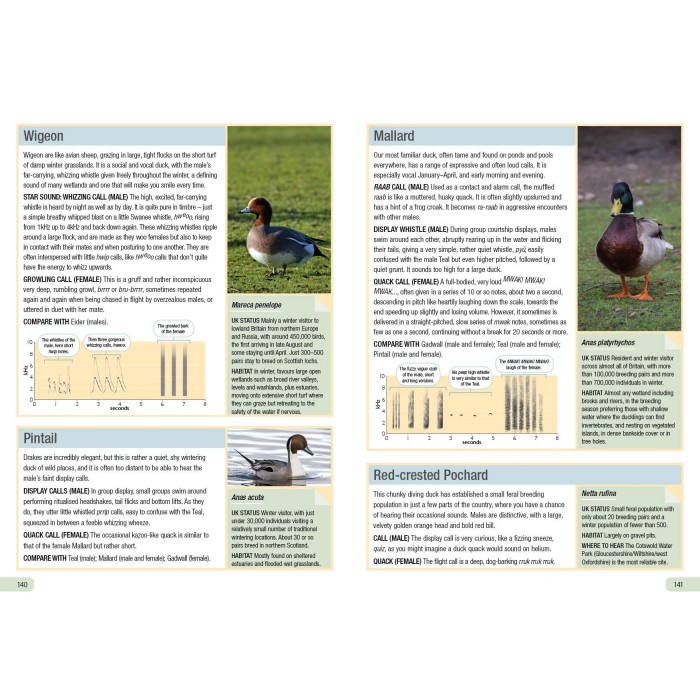 Knyga  "RSPB Guide to Birdsong"