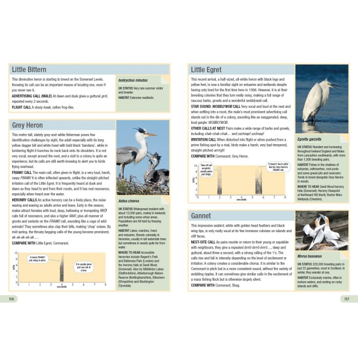 Knyga  "RSPB Guide to Birdsong"