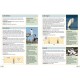 Knyga  "RSPB Guide to Birdsong"