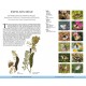 Knyga  "Butterflies of Britain and Europe"