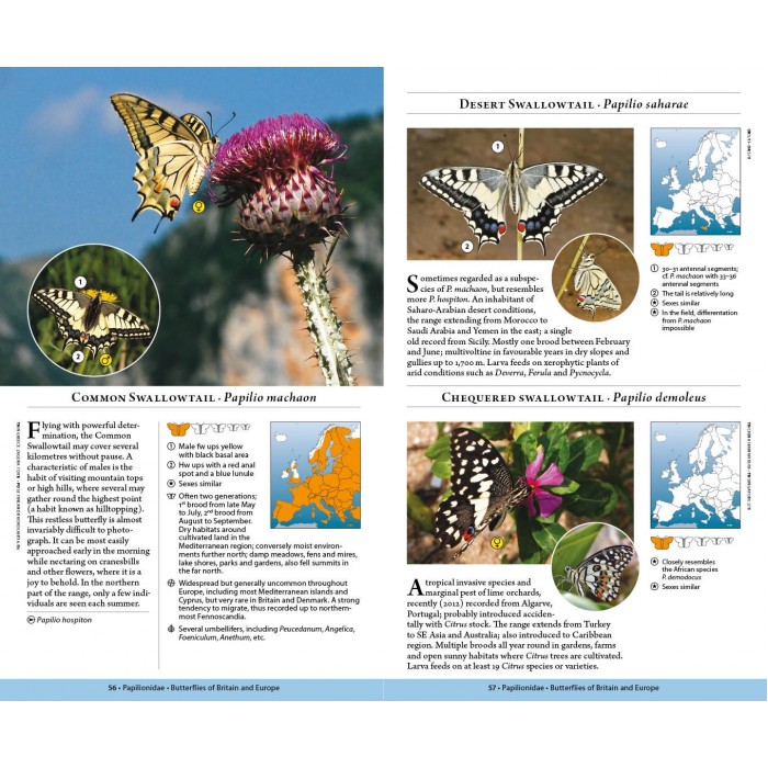 Knyga  "Butterflies of Britain and Europe"
