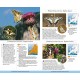 Knyga  "Butterflies of Britain and Europe"
