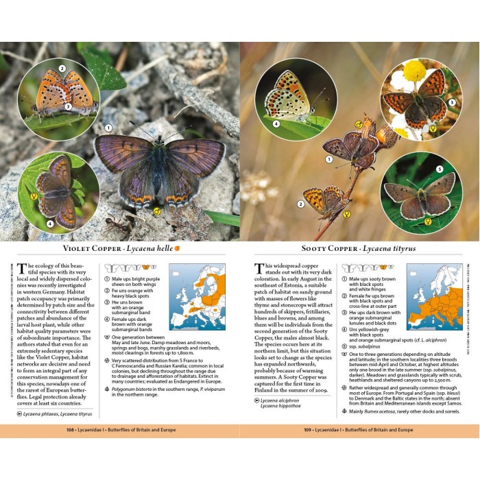 Knyga  "Butterflies of Britain and Europe"
