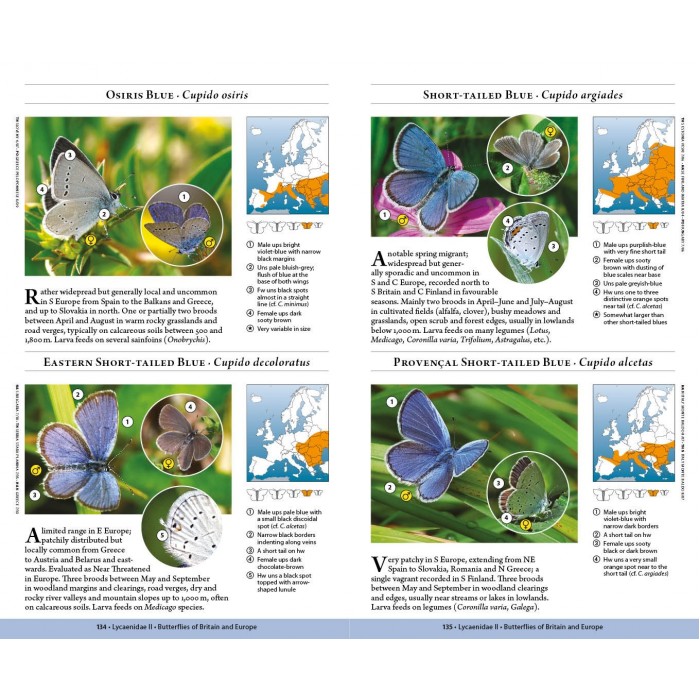 Knyga  "Butterflies of Britain and Europe"