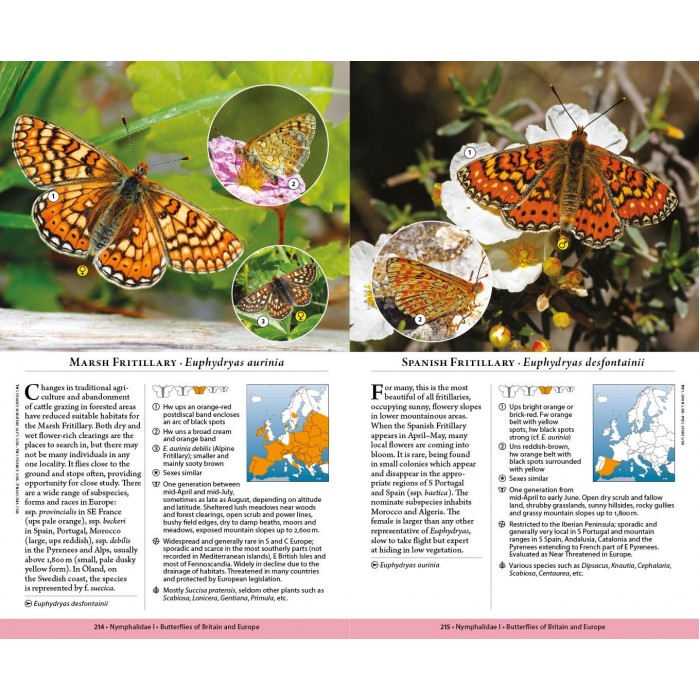 Knyga  "Butterflies of Britain and Europe"
