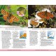Knyga  "Butterflies of Britain and Europe"