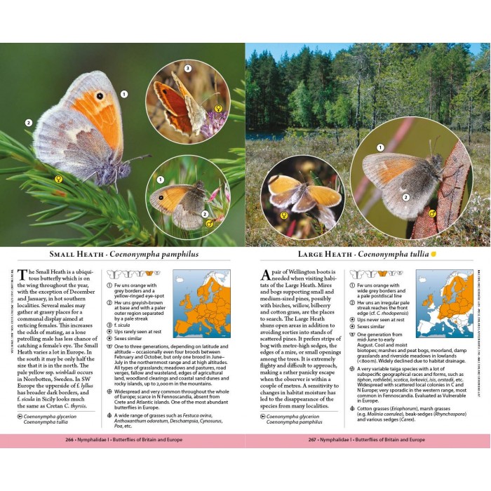 Knyga  "Butterflies of Britain and Europe"