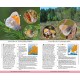 Knyga  "Butterflies of Britain and Europe"