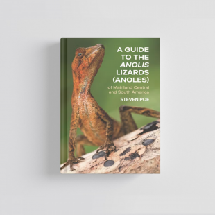 Knyga "A Guide to the Anolis Lizards (Anoles) of Mainland Central and South America"