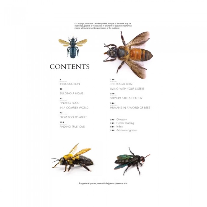 Knyga "The Lives of Bees: A Natural History of Our Planet's Bee Life"