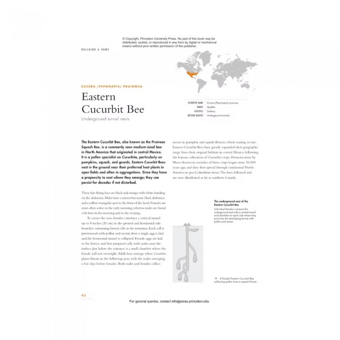 Knyga "The Lives of Bees: A Natural History of Our Planet's Bee Life"